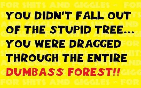 You didn�t fall out of the stupid tree at PMSLweb.com