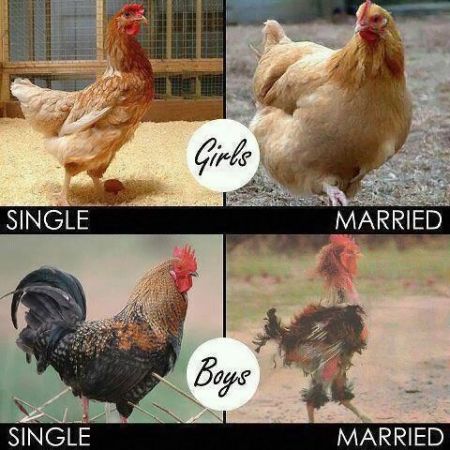 Single and married girls versus boys at PMSLweb.com