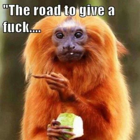 The road to give a f*ck meme – Humoristic Monday at PMSLweb.com
