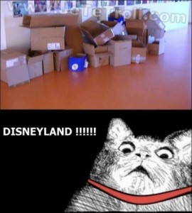 Cat Disneyland meme at PMSLweb.com