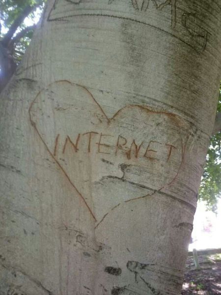 Internet love carved on a tree - Sunday smiles at PMSLweb.com