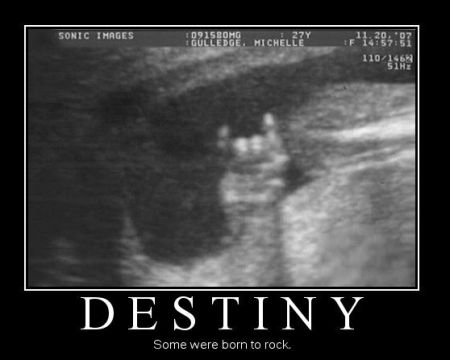 Destiny demotivational at PMSLweb.com