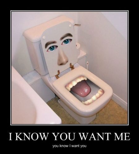 funny toilet demotivational