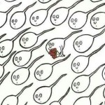Smart sperm humor - Tuesday giggles at PMSLweb.com