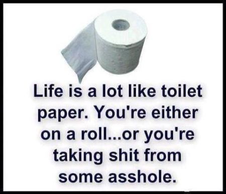 Life is a lot like toilet paper quote at PMSLweb.com