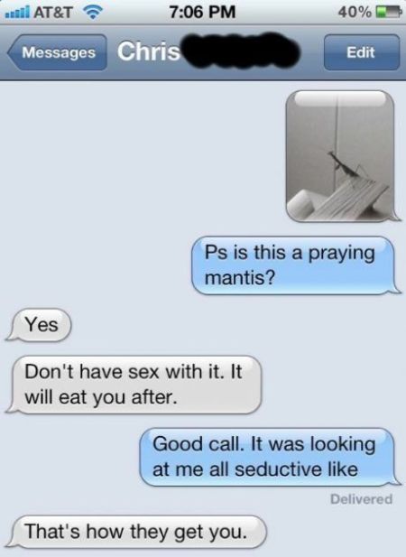 Seductive praying mantis iPhone humor – Me gusta funnies at PMSLweb.com
