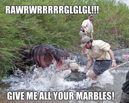 Hungry hippos meme - TGIF humor at PMSLweb.com