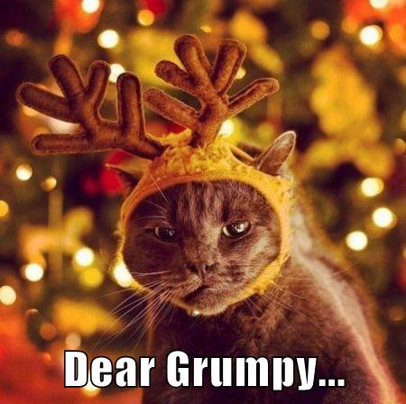 Dear Grumpy cat meme - Funny picture at PMSLweb.com