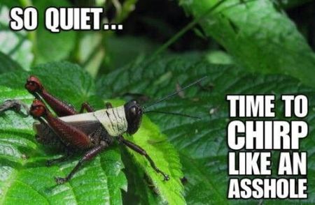 Time to chirp meme at PMSLweb.com