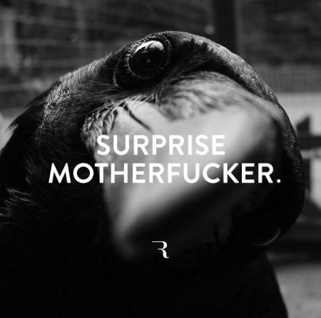 Black bird surprise mother*fckers at PMSLweb.com
