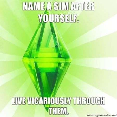 Make a sim after yourself at PMSLweb.com