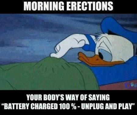 Donald explains morning erections - Hump day funnies at PMSLweb.com