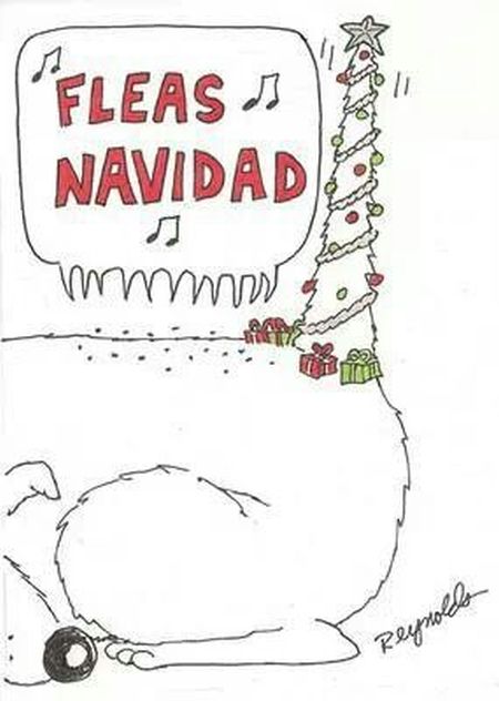Fleas navidad - Christmas funnies at PMSLweb.com