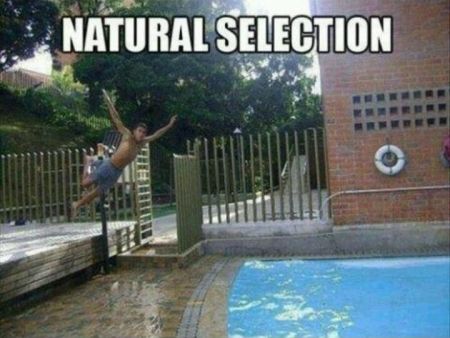 Natural selection at PMSLweb.com