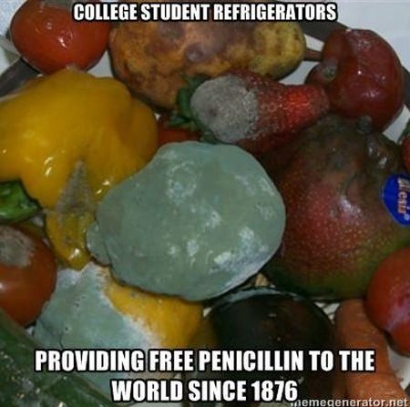 College students refrigerators providing free penicillin at PMSLweb.com