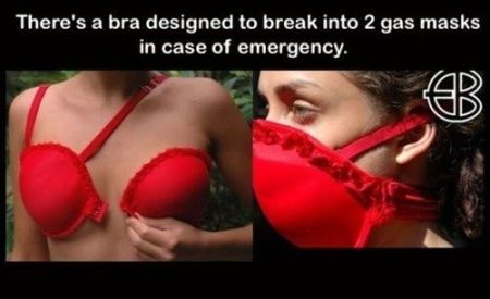 Bra designed to break into 2 gas masks at PMSLweb.com