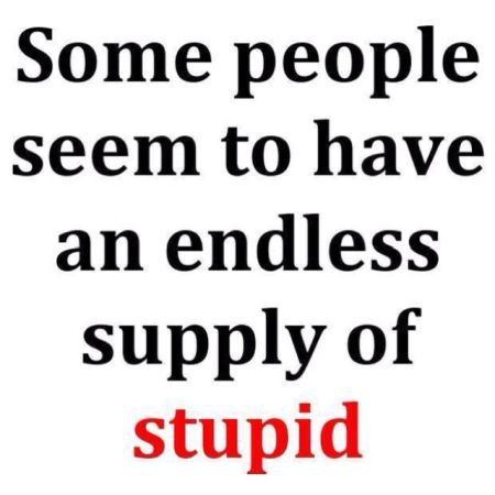 An endless supply of stupid quote at PMSLweb.com