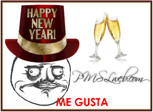 PMSLweb - Happy New Year 2014