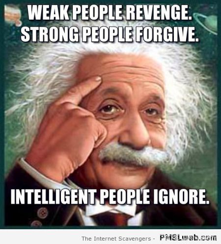 Intelligent people ignore Einstein meme at PMSLweb.com