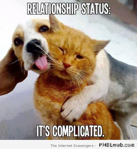Relationship statues it’s complicated at PMSLweb.com