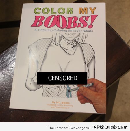 Color my boobs activity book at PMSLweb.com