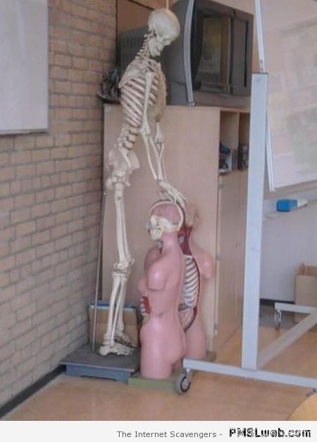 Naughty skeleton – Tuesday humor at PMSLweb.com