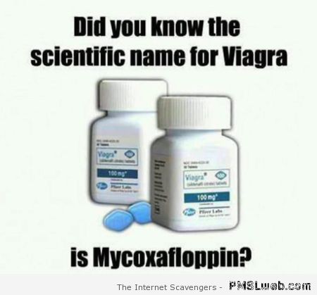 Scientific name for Viagra – Funny picture gallery at PMSLweb.com