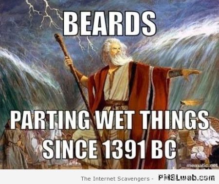 Beards parting wet things meme at PMSLweb.com