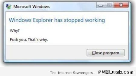 Windows explorer has stopped working at PMSLweb.com