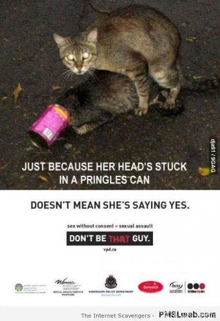 Doesn’t mean she’s saying yes cat meme at PMSLweb.com