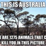 This is Australia meme – Rofl pics at PMSLweb.com