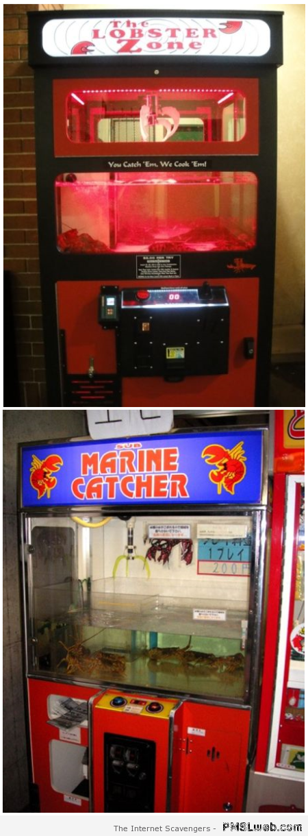 Lobster vending machine at PMSLweb.com