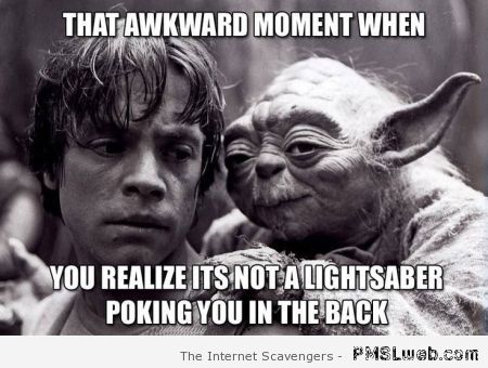 Yoda and Luke light saber meme at PMSLweb.com