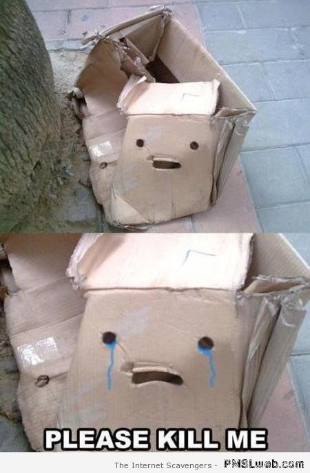 Cardboard box meme at PMSLweb.com