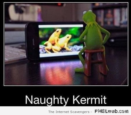 Naughty Kermit – Tuesday humor at PMSLweb.com