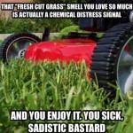 Fresh cut grass smell meme – Tgif picture collection at PMSLweb.com