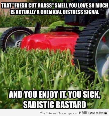 Fresh cut grass smell meme – Tgif picture collection at PMSLweb.com