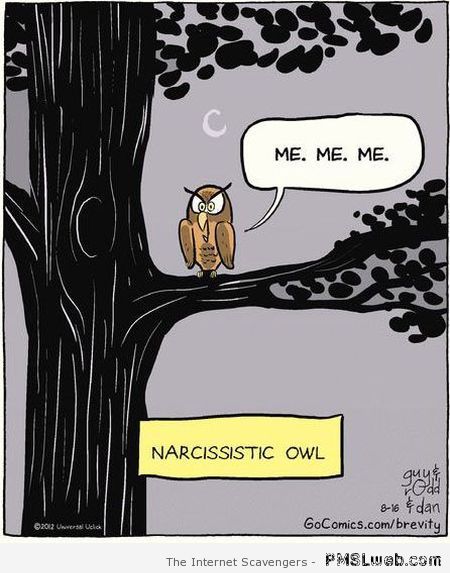 Narcissistic owl cartoon at PMSLweb.com