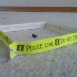Dead fly police line at PMSLweb.com