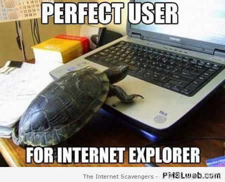 Perfect user for internet explorer meme at PMSLweb.com
