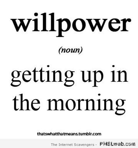 Willpower funny definition – Hump Day humor at PMSLweb.com