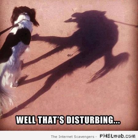 Disturbing dog shadow at PMSLweb.com