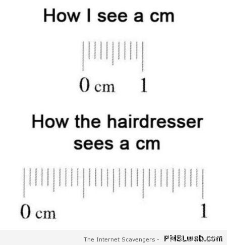 How the hairdresser sees 1cm – Hump Day humor at PMSLweb.com