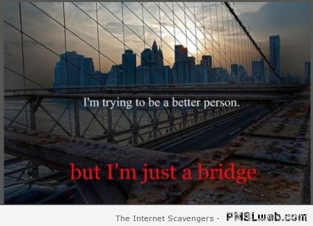 I’m just a bridge meme – Sunday humor at PMSLweb.com