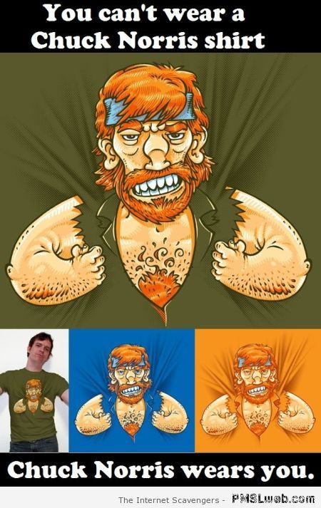 Chuck Norris T-shirt meme at PMSLweb.com
