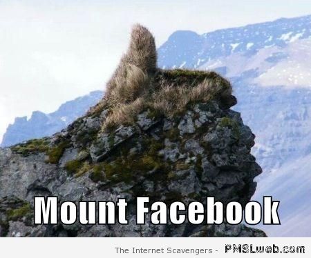 Mount Facebook meme at PMSLweb.com