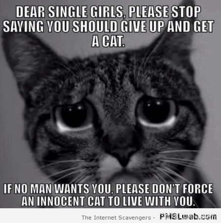 Dear single girls funny cat meme at PMSLweb.com