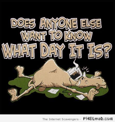 Funny Hump day picture at PMSLweb.com