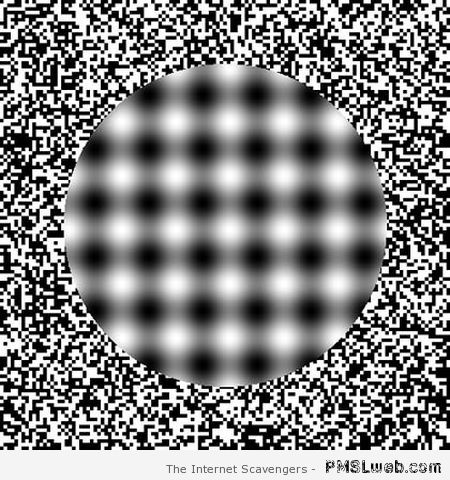 Optical illusion – Amusing pictures at PMSLweb.com