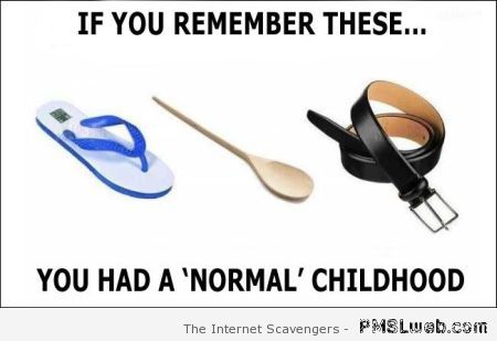 you had a normal childhood meme at PMSLweb.com